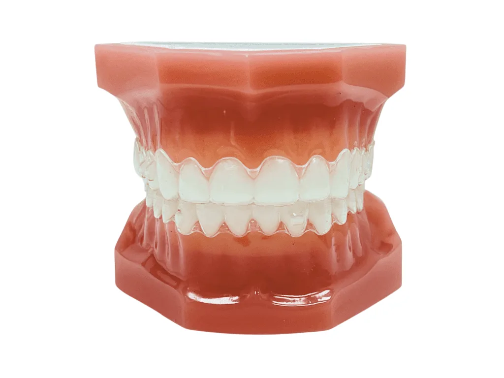 Invisalign typodont with invisalin aligners, orthodontic office, Invisalign treatment